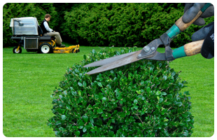 Landscaping Services in Goderich and Surrounding Areas - Image 1