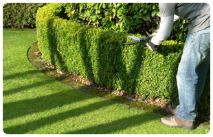 Landscaping Services in Goderich and Surrounding Areas - Image 3